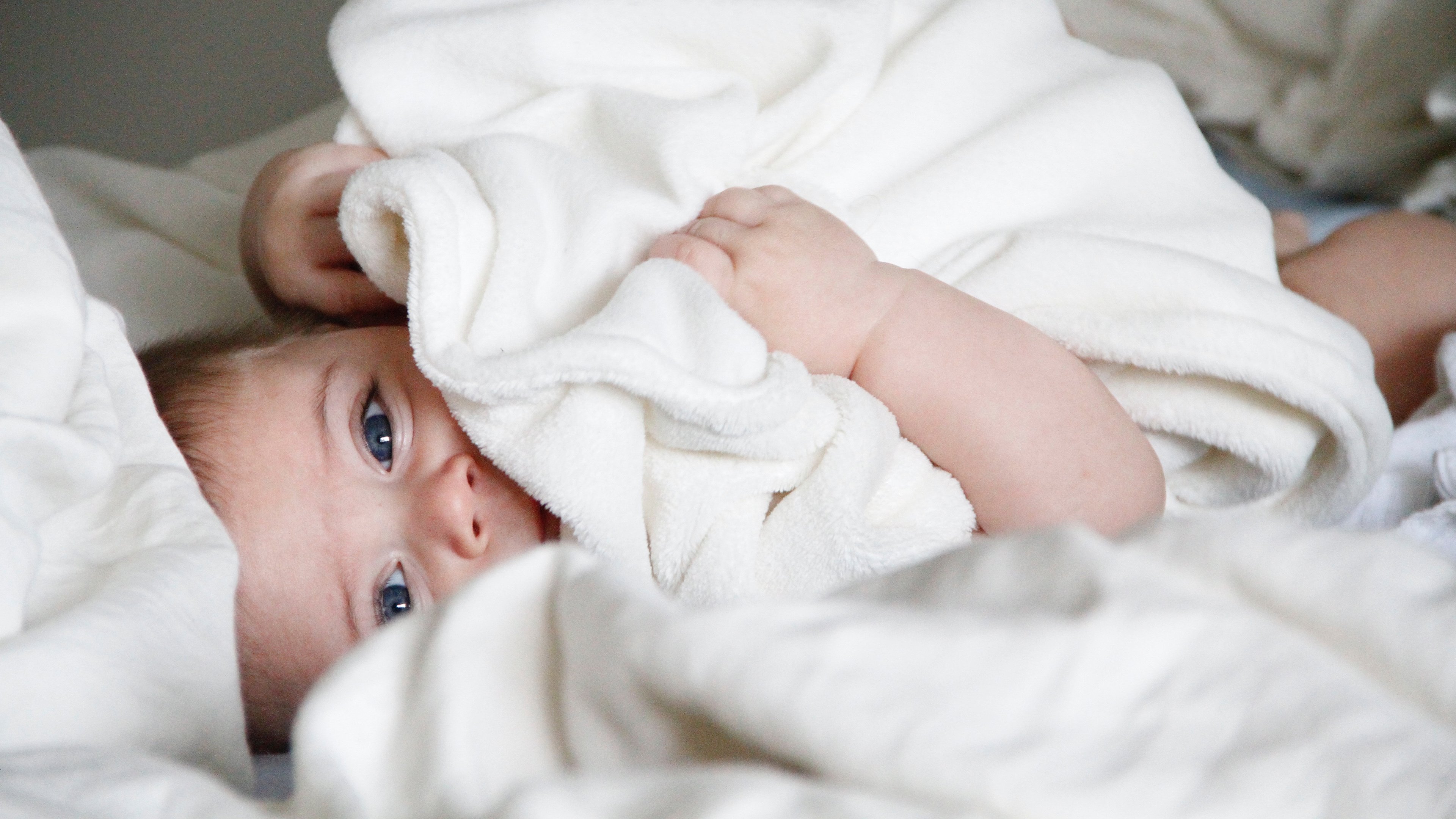 石家庄捐卵代怀试管婴儿着床成功率
